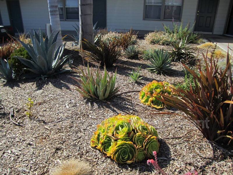 Charming 1 bedroom, Walking distance to Trestles beach in San Clemente! property image