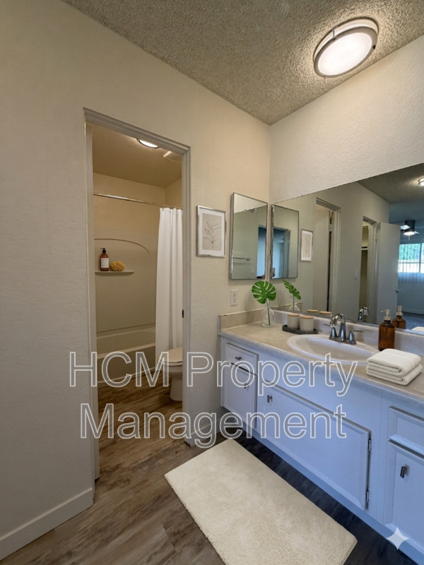 Updated One Bedroom Apartment in Prime NoHo Location property image