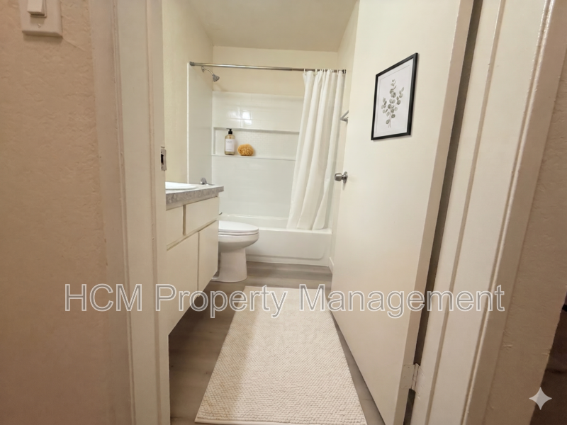 Spacious Studio! Spring Move in Special! $500.00 Off One Month's rent. property image