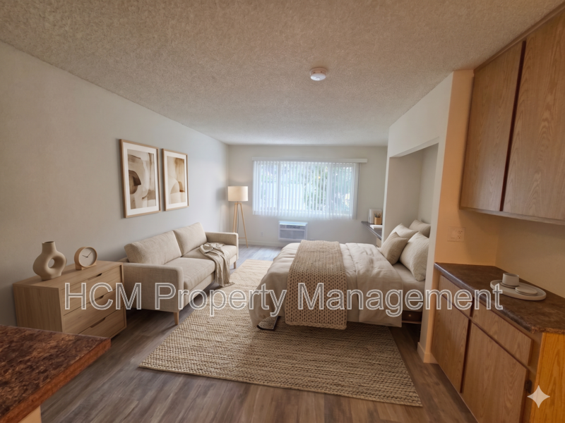 Summer Move In Special! Spacious and Bright Studio property image