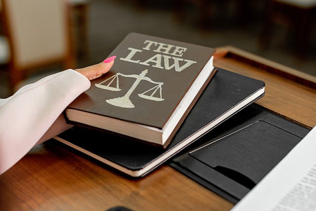A person holding a book titled “The Law”