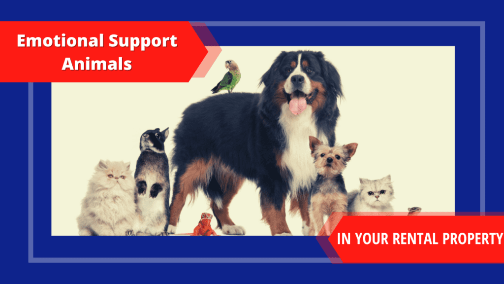 Emotional Support Animals in Your Rental Property? | Long Beach Property Management - Article Banner