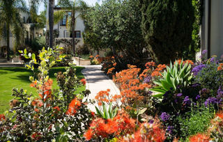 Garden Path
